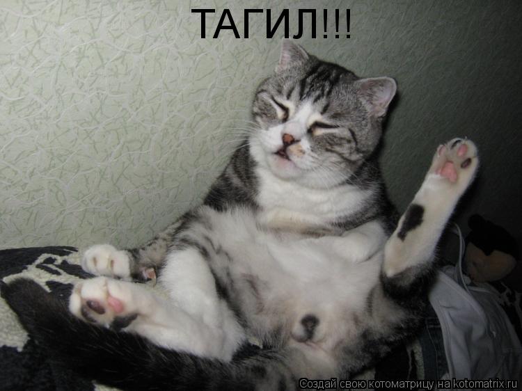 Котоматрица: ТАГИЛ!!!