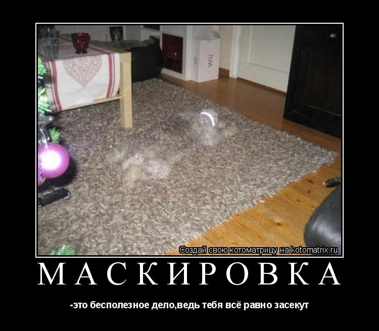 маскировка -это бесполезное дело,ведь тебя всё равно засекут... Котоматрица: маскировка -это бесполезное дело,ведь тебя всё равно засекут