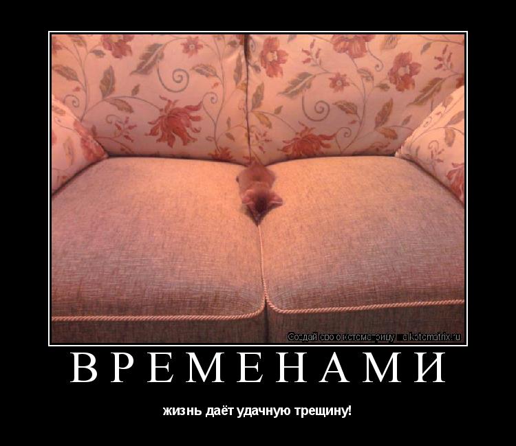Временами жизнь даёт удачную трещину!... Котоматрица: Временами жизнь даёт удачную трещину!