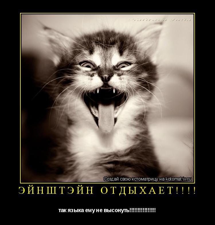 Эйнштэйн отдыхает!!!! так языка ему не высонуть!!!!!!!!!!!!!!!!... Котоматрица: Эйнштэйн отдыхает!!!! так языка ему не высонуть!!!!!!!!!!!!!!!!