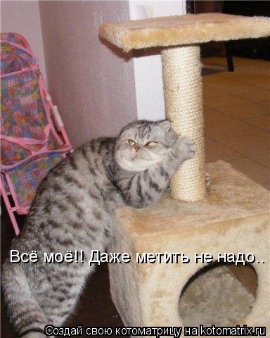 Котоматрица: Всё моё!! Даже метить не надо..