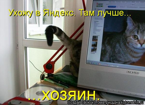 Котоматрица: Ухожу в Яндекс. Там лучше... ...хозяин.