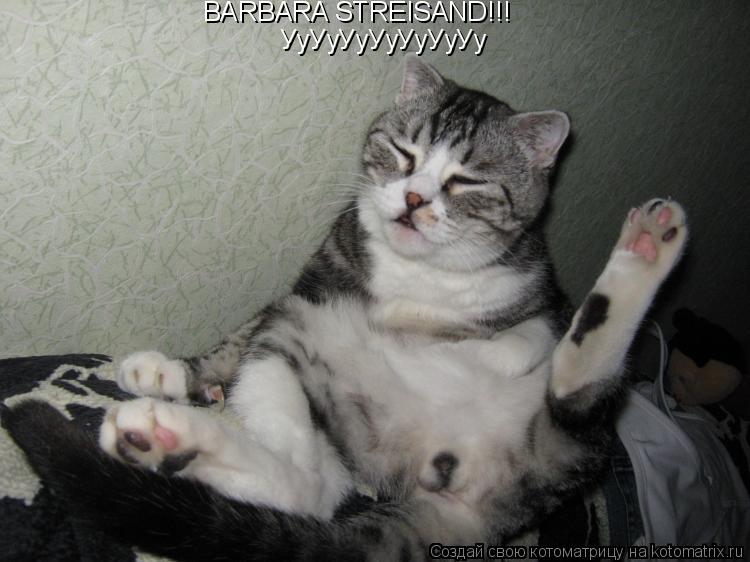 Котоматрица: BARBARA STREISAND!!! УуУуУуУуУуУуУу