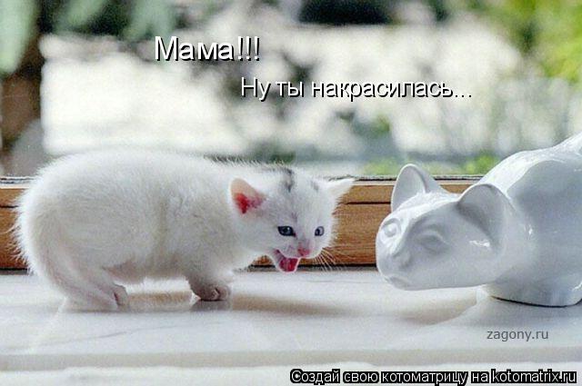 Мама!!! Ну ты накрасилась...... Котоматрица: Мама!!! Ну ты накрасилась...