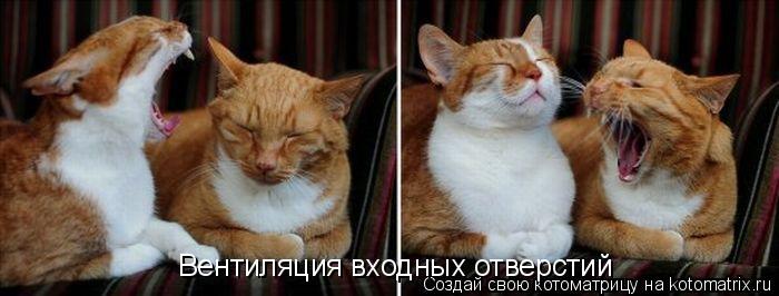 Вентиляция входных отверстий... Котоматрица: Вентиляция входных отверстий