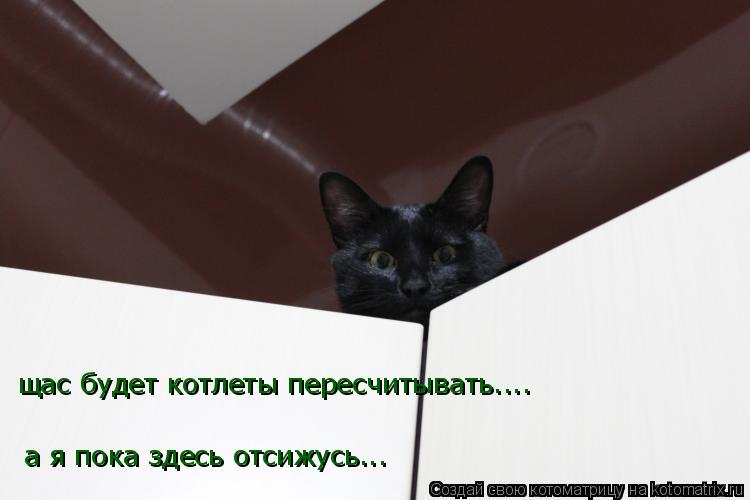 а я пока здесь отсижусь... щас будет котлеты пересчитывать....... Котоматрица: а я пока здесь отсижусь... щас будет котлеты пересчитывать....