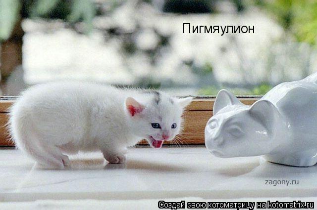 Пигмяулион... Котоматрица: Пигмяулион