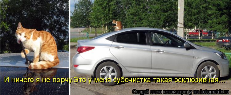 И ничего я не порчу.Это у меня зубочистка такая эсклюзивная...... Котоматрица: И ничего я не порчу.Это у меня зубочистка такая эсклюзивная...