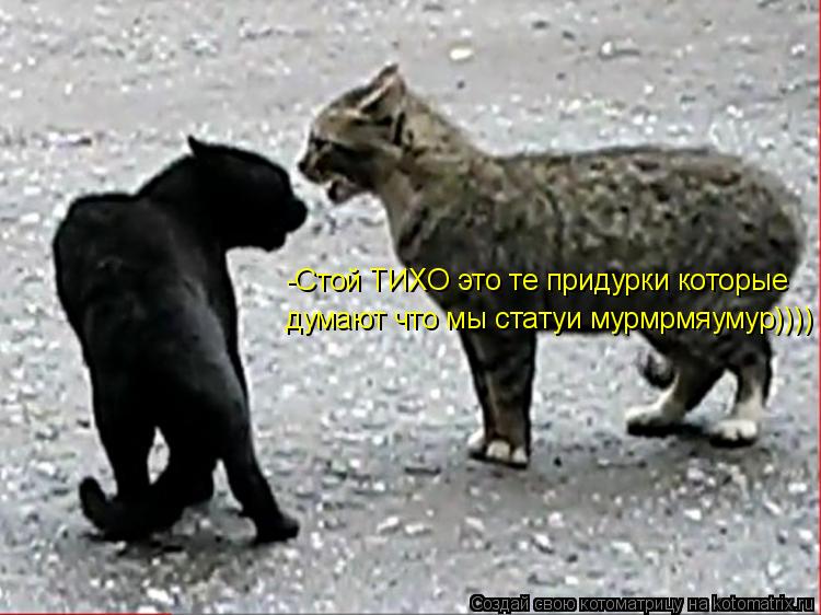 -Стой ТИХО это те придурки которые думают что мы статуи мурмрмяумур))))... Котоматрица: -Стой ТИХО это те придурки которые думают что мы статуи мурмрмяумур))))