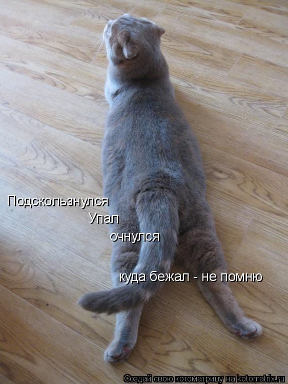 Подскользнулся Упал очнулся куда бежал - не помню... Котоматрица: Подскользнулся Упал очнулся куда бежал - не помню