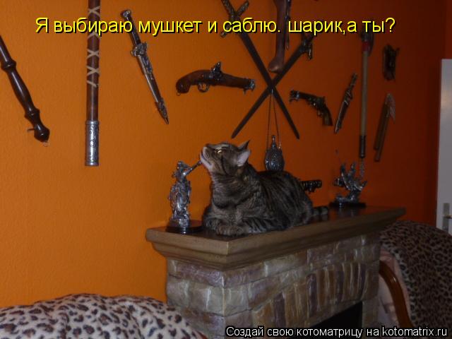 Я выбираю мушкет и саблю. шарик,а ты?... Котоматрица: Я выбираю мушкет и саблю. шарик,а ты?
