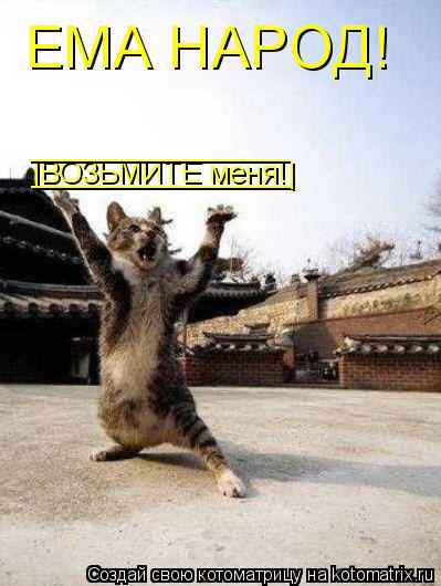 ЕМА НАРОД! |ВОЗЬМИТЕ меня! ________________ ________________ |... Котоматрица: ЕМА НАРОД! |ВОЗЬМИТЕ меня! ________________ ________________ |