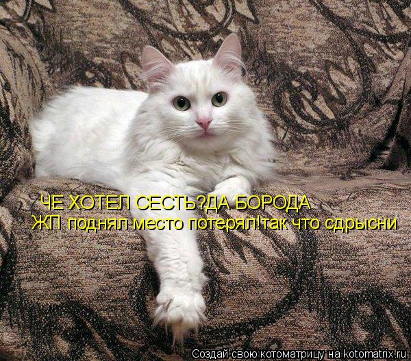 ЧЕ ХОТЕЛ СЕСТЬ?ДА БОРОДА ЖП поднял место потерял!так что сдрысни... Котоматрица: ЧЕ ХОТЕЛ СЕСТЬ?ДА БОРОДА ЖП поднял место потерял!так что сдрысни