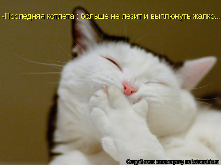 -Последняя котлета : больше не лезит и выплюнуть жалко...... Котоматрица: -Последняя котлета : больше не лезит и выплюнуть жалко...