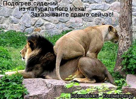 Подогрев сидений. из натурального меха! Заказывайте прямо сейчас!... Котоматрица: Подогрев сидений. из натурального меха! Заказывайте прямо сейчас!