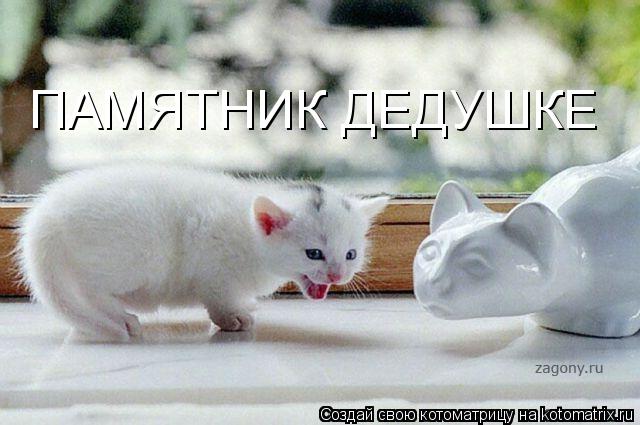 ПАМЯТНИК ДЕДУШКЕ... Котоматрица: ПАМЯТНИК ДЕДУШКЕ