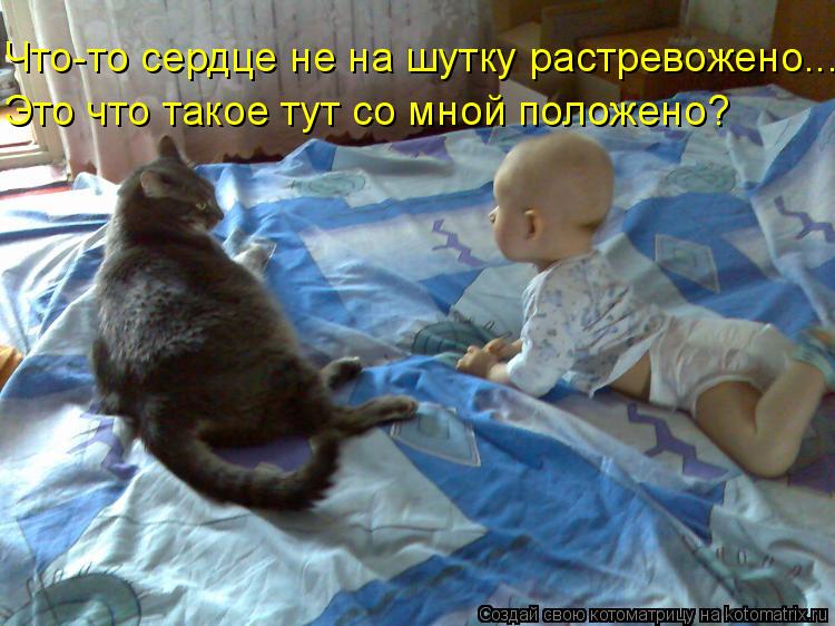 Что-то сердце не на шутку растревожено... Это что такое тут со мной положено?... Котоматрица: Что-то сердце не на шутку растревожено... Это что такое тут со мной положено?