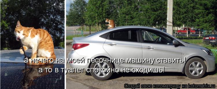 а нечего на моей песочнице машину ставить! а то в туалет спокойно не сходишь!... Котоматрица: а нечего на моей песочнице машину ставить! а то в туалет спокойно не сходишь!