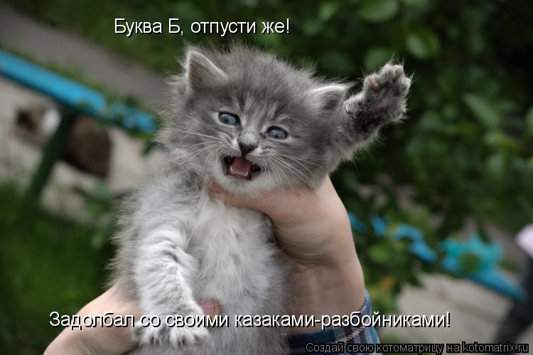 Буква Б, отпусти же! Задолбал со своими казаками-разбойниками!... Котоматрица: Буква Б, отпусти же! Задолбал со своими казаками-разбойниками!