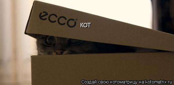 Котоматрица: кот