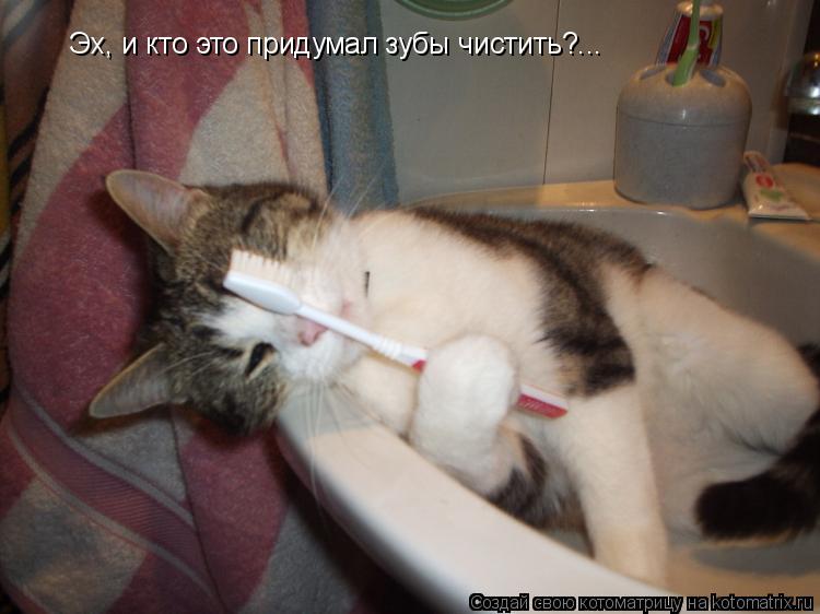 Котоматрица: Эх, и кто это придумал зубы чистить?...