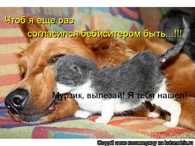 Мурзик, вылезай! Я тебя нашел! Чтоб я еще раз согласился бебиситером быть...!!!... Котоматрица: Мурзик, вылезай! Я тебя нашел! Чтоб я еще раз согласился бебиситером быть...!!!