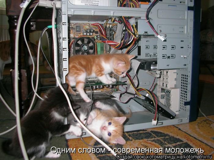 Одним словом - современная моложежь... Котоматрица: Одним словом - современная моложежь