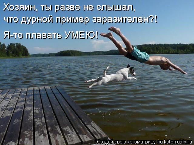 Хозяин, ты разве не слышал, что дурной пример заразителен?! Я-то плавать УМЕЮ!... Котоматрица: Хозяин, ты разве не слышал, что дурной пример заразителен?! Я-то плавать УМЕЮ!