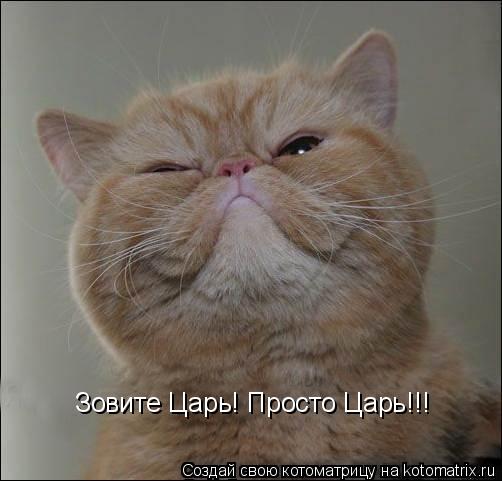 Зовите Царь! Просто Царь!!!... Котоматрица: Зовите Царь! Просто Царь!!!