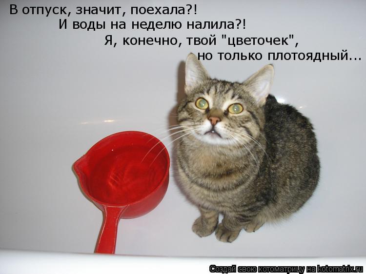 Котоматрица: В отпуск, значит, поехала?! И воды на неделю налила?! Я, конечно, твой "цветочек", но только плотоядный...