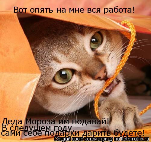 Вот опять на мне вся работа! Деда Мороза им подавай! В следущем году, сами себе подарки дарить будете... Котоматрица: Вот опять на мне вся работа! Деда Мороза им подавай! В следущем году, сами себе подарки дарить будете!