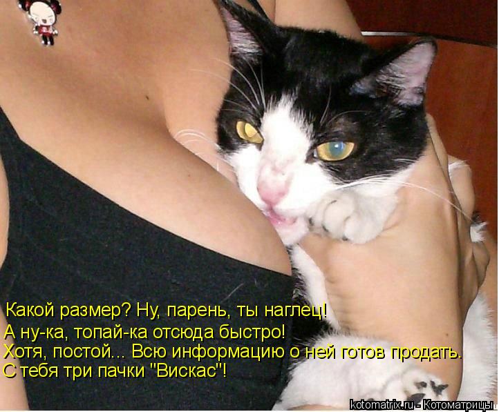 Какой размер? Ну, парень, ты наглец! А ну-ка, топай-ка отсюда быстро! Хотя, постой... Всю информацию ... Котоматрица: Какой размер? Ну, парень, ты наглец! А ну-ка, топай-ка отсюда быстро! Хотя, постой... Всю информацию о ней готов продать. С тебя три пачки "Вискас