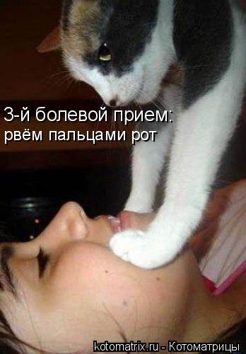 3-й болевой прием: рвём пальцами рот... Котоматрица: 3-й болевой прием: рвём пальцами рот