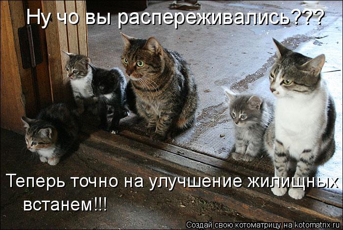 Ну чо вы распереживались??? Теперь точно на улучшение жилищных встанем!!!... Котоматрица: Ну чо вы распереживались??? Теперь точно на улучшение жилищных встанем!!!