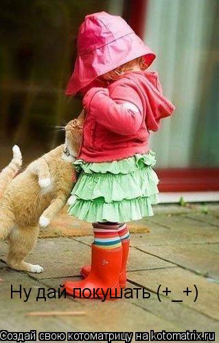 Ну дай покушать (+_+)... Котоматрица: Ну дай покушать (+_+)