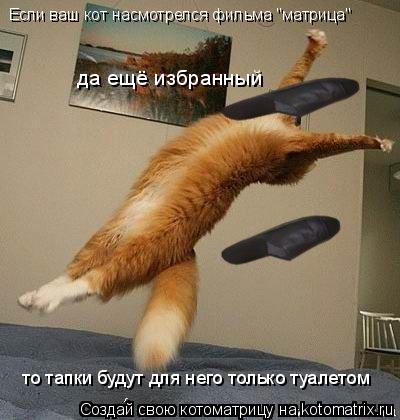Если ваш кот насмотрелся фильма "матрица" да ещё избранный то тапки будут для него только туалетом... Котоматрица: Если ваш кот насмотрелся фильма "матрица" да ещё избранный то тапки будут для него только туалетом