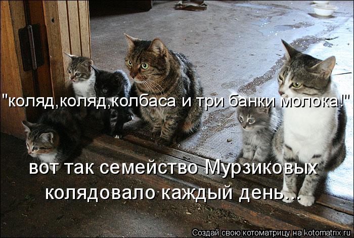 вот так семейство Мурзиковых колядовало каждый день... "коляд,коляд,колбаса и три банки молока!"... Котоматрица: вот так семейство Мурзиковых колядовало каждый день... "коляд,коляд,колбаса и три банки молока!"