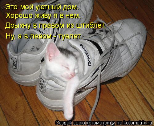 Это мой уютный дом. Хорошо живу я в нем. Дрыхну в правом из штиблет, Ну, а в левом - туалет... Котоматрица: Это мой уютный дом. Хорошо живу я в нем. Дрыхну в правом из штиблет, Ну, а в левом - туалет