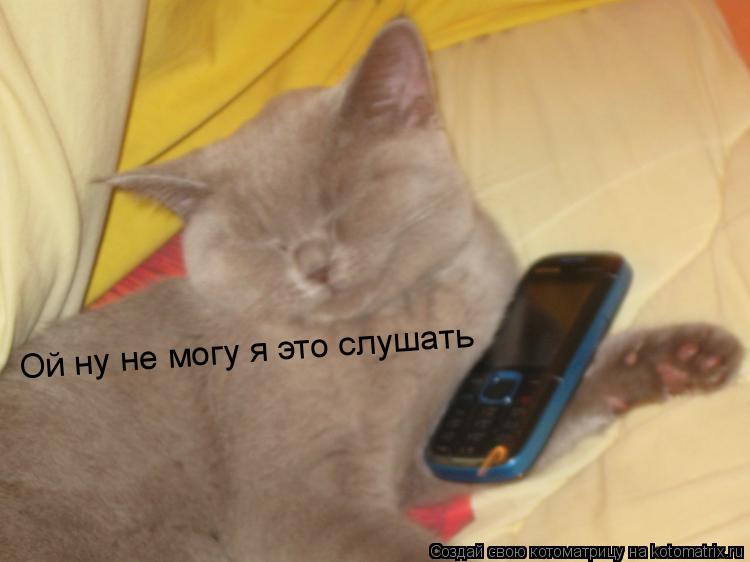 Ой ну не могу я это слушать... Котоматрица: Ой ну не могу я это слушать