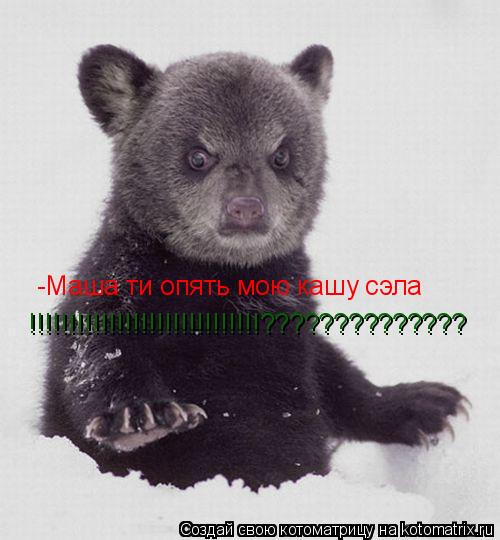 -Маша ти опять мою кашу сэла !!!!!!!!!!!!!!!!!!!!!!!!!!!!!??????????????... Котоматрица: -Маша ти опять мою кашу сэла !!!!!!!!!!!!!!!!!!!!!!!!!!!!!??????????????