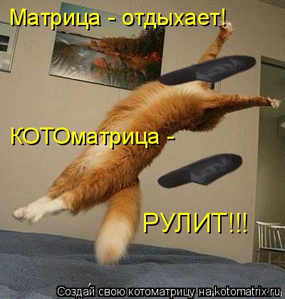 Матрица - отдыхает! КОТОматрица - РУЛИТ!!!... Котоматрица: Матрица - отдыхает! КОТОматрица - РУЛИТ!!!