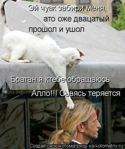 Эй чуак забири меня, ато оже двацатый прошол и ушол Братан я ктебе обращаюсь Алло!!! Сьвясь теряется... Котоматрица: Эй чуак забири меня, ато оже двацатый прошол и ушол Братан я ктебе обращаюсь Алло!!! Сьвясь теряется