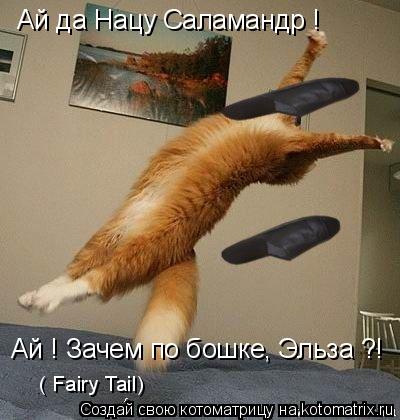 Ай да Нацу Саламандр ! Ай ! Зачем по бошке, Эльза ?! ( Fairy Tail)... Котоматрица: Ай да Нацу Саламандр ! Ай ! Зачем по бошке, Эльза ?! ( Fairy Tail)