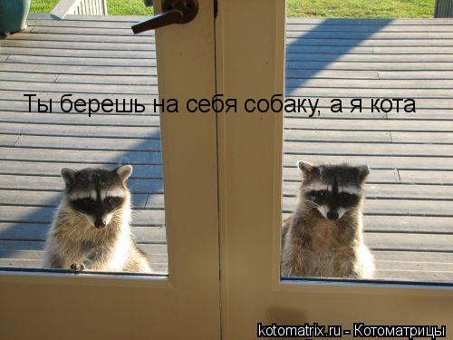 Ты берешь на себя собаку, а я кота... Котоматрица: Ты берешь на себя собаку, а я кота