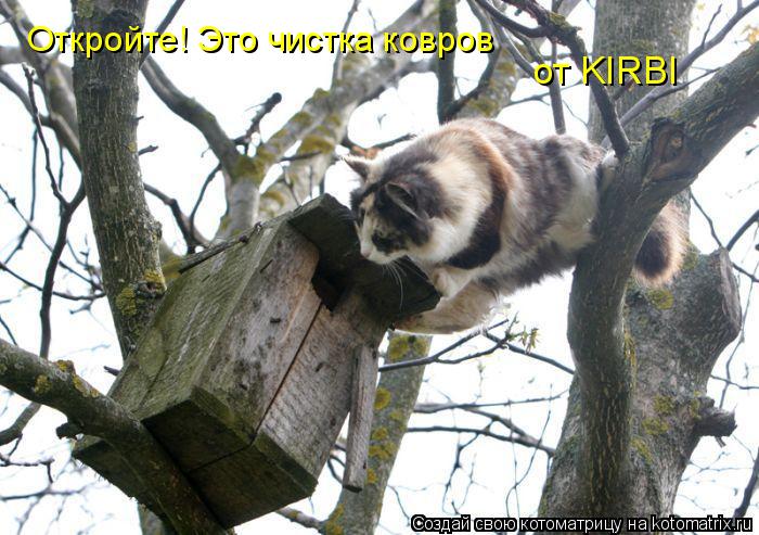 Откройте! Это чистка ковров от KIRBI... Котоматрица: Откройте! Это чистка ковров от KIRBI