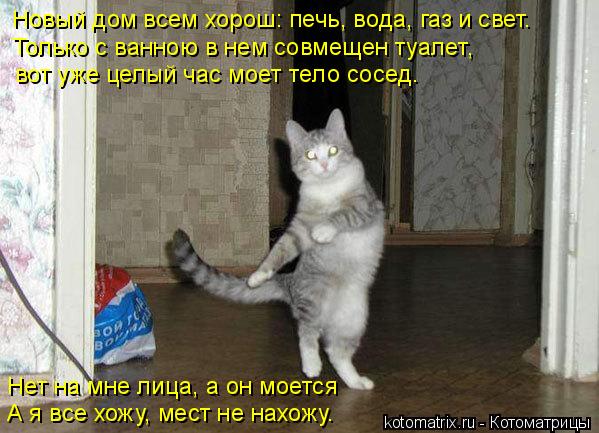 Новый дом всем хорош: печь, вода, газ и свет. Только с ванною в нем совмещен туалет, вот уже целый ча... Котоматрица: Новый дом всем хорош: печь, вода, газ и свет. Только с ванною в нем совмещен туалет, вот уже целый час моет тело сосед. Нет на мне лица, а он мое
