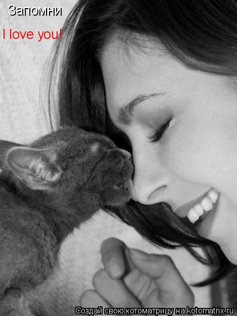 Запомни I love you!... Котоматрица: Запомни I love you!