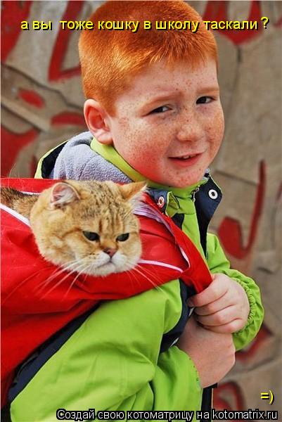 а вы тоже кошку в школу таскали ? =)... Котоматрица: а вы тоже кошку в школу таскали ? =)