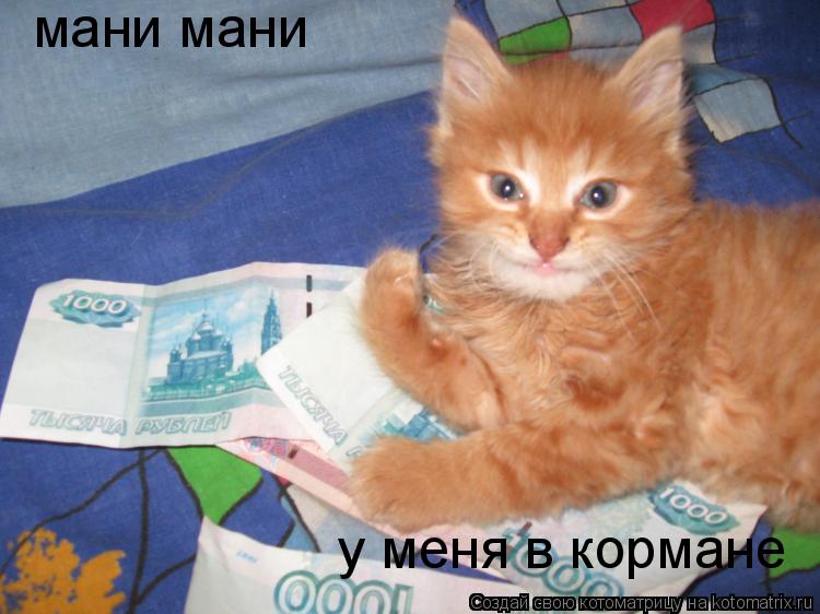 мани мани у меня в кормане... Котоматрица: мани мани у меня в кормане
