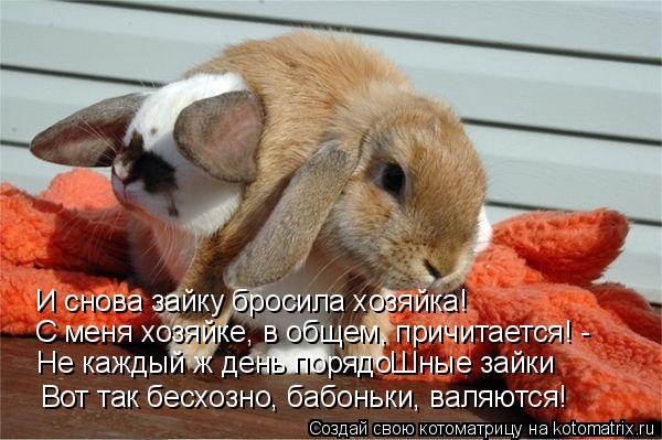 И снова зайку бросила хозяйка! С меня хозяйке, в общем, причитается! - Не каждый ж день порядоШные за... Котоматрица: И снова зайку бросила хозяйка! С меня хозяйке, в общем, причитается! - Не каждый ж день порядоШные зайки Вот так бесхозно, бабоньки, валяются!